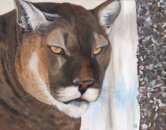 Cougar Acrylic on canvas 22 X 28 Original For Sale $800.00